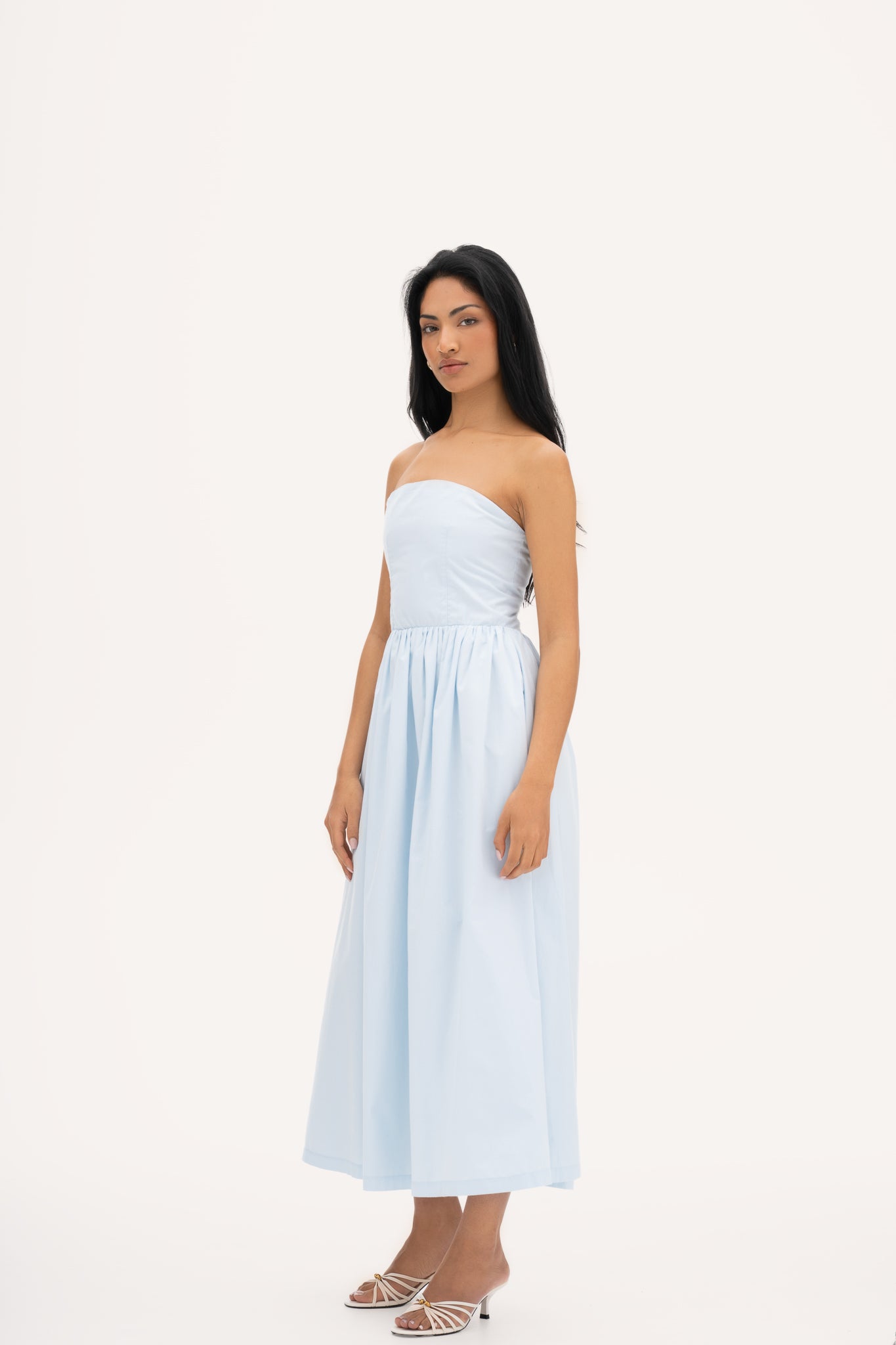 Rose dress blue